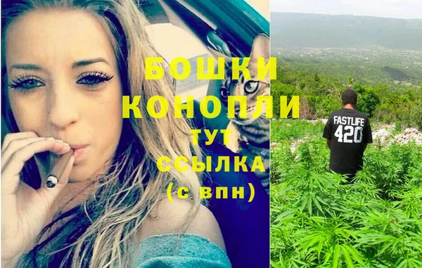 тгк Надым