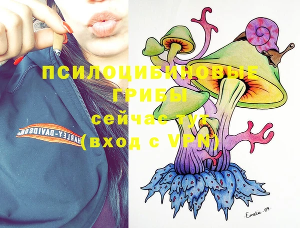 мескалин Нефтекумск
