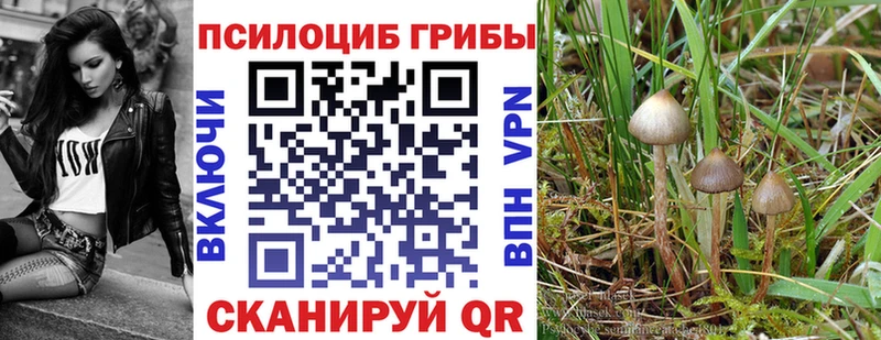 Псилоцибиновые грибы MAGIC MUSHROOMS  даркнет сайт  Вичуга 