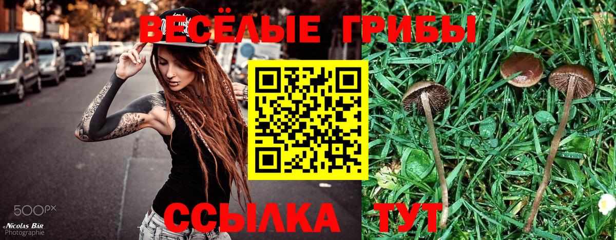 Псилоцибиновые грибы мухоморы  Псилоцибиновые грибы MAGIC MUSHROOMS  Вход с VPN  Вичуга 